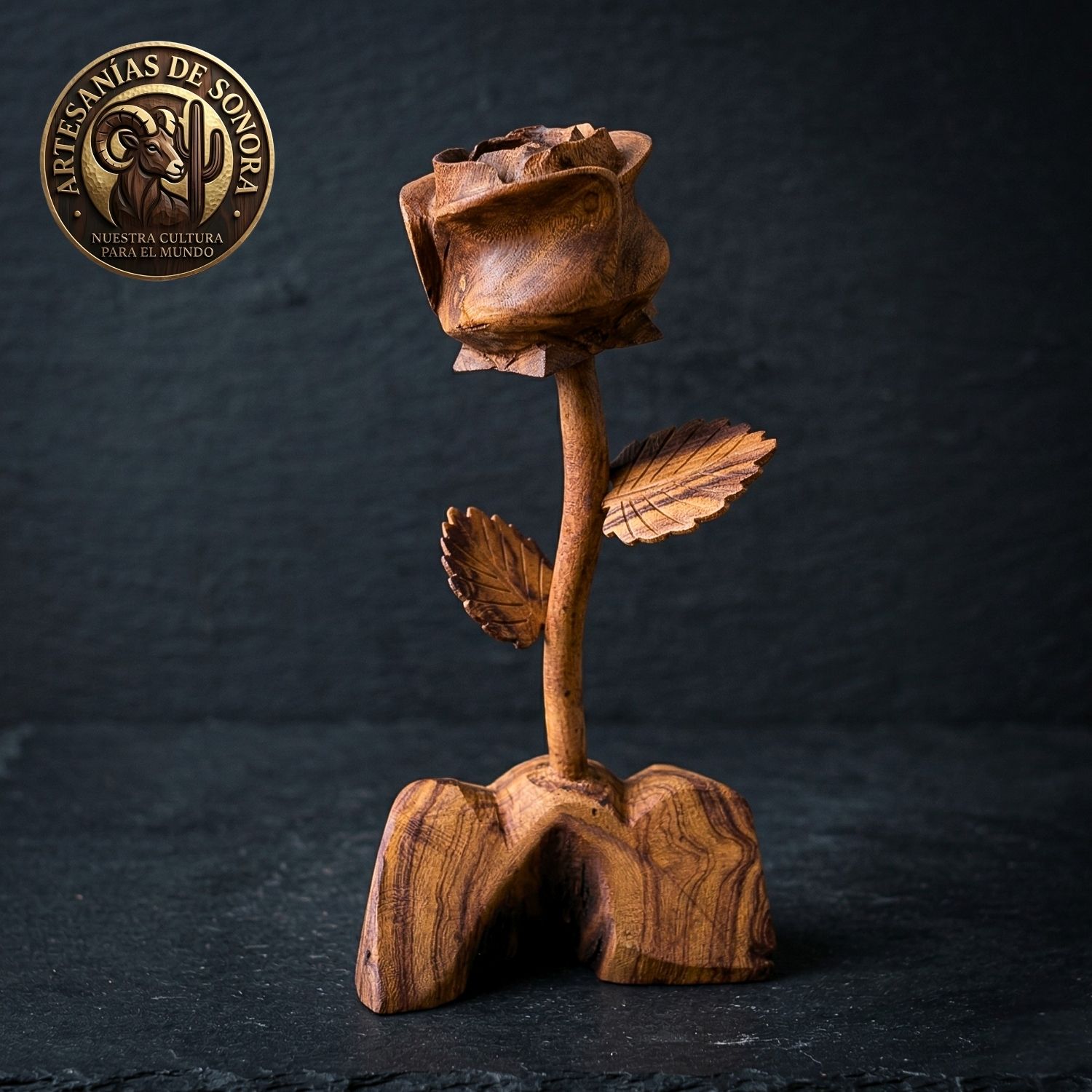 ROSA 24 CMS